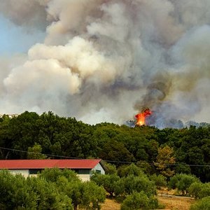 app_300_300_incendi_boschivi-2740784__340