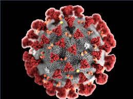 Coronavirus COVID-19: Dpcm del Governo sulla Fase2