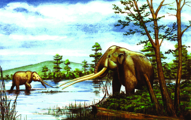 Il mastodonte ispira dodici centri della Valtriversa per il Distretto del Commercio